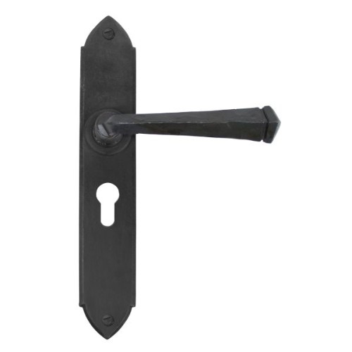 GOTHIC LEVER HANDLE ON BACKPLATE